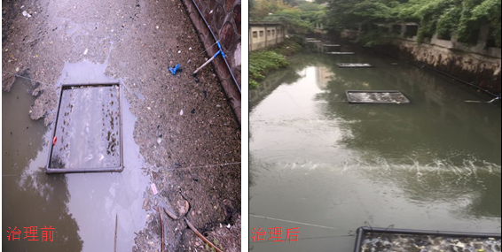 无锡市梁溪区某黑臭河道治理